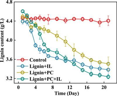 Synergistic Treatment of Alkali Lignin via Fungal Coculture for Biofuel Production: Comparison of Physicochemical Properties and Adsorption of Enzymes Used As Catalysts